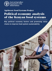 Political economy analysis of the Kenyan food systems